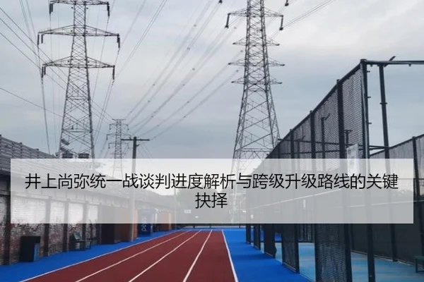 井上尚弥统一战谈判进度解析与跨级升级路线的关键抉择